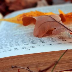 seo glossary