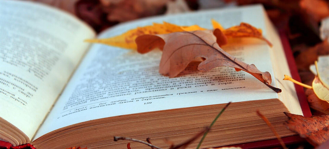 seo glossary